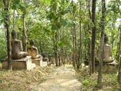 ดอยพระธาตุ อุทยานแห่งชาติลำน้ำน่าน อ.ท่าปลา จ.อุตรดิตถ์ 